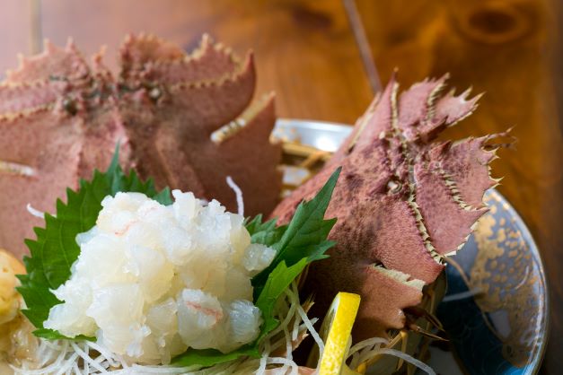Uchiwa Shrimp Sashimi