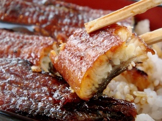 Eel Fillets Broiled with a Sweetened-soy-sauce Glaze