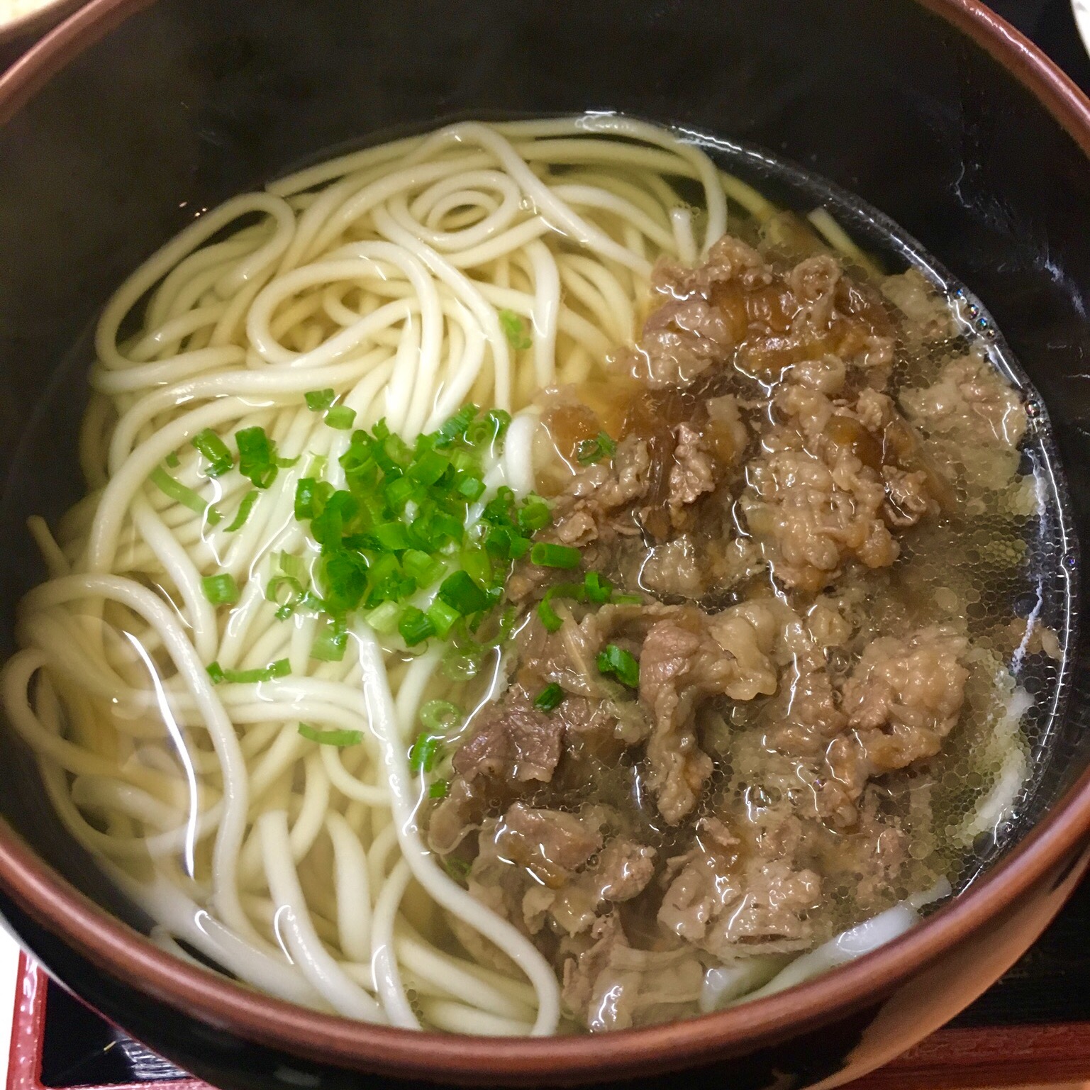 Udon Noodles with Meat and Scallions