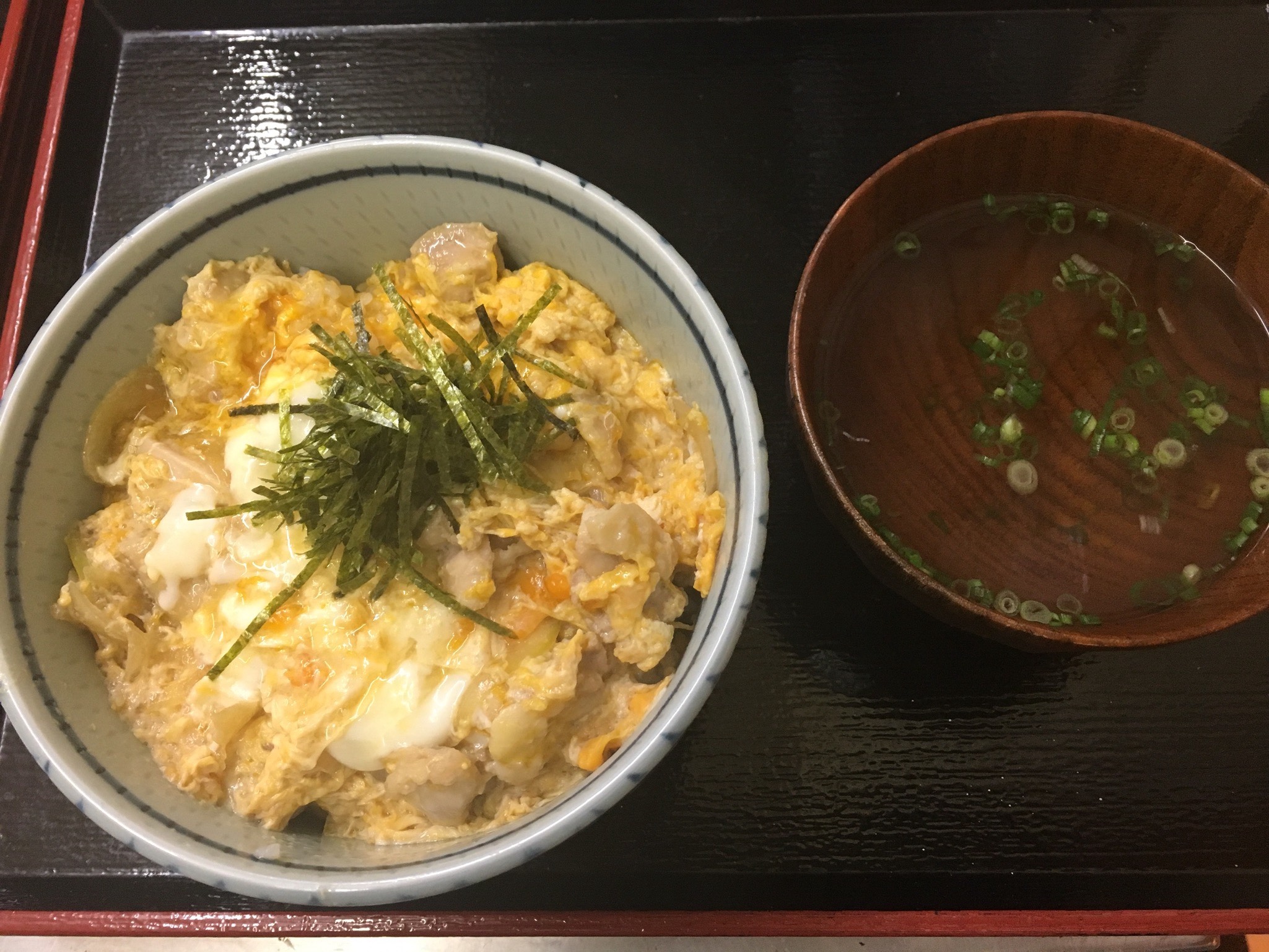 Donburi Bowl of Rice Topped With Chicken, Eggs, and Onions