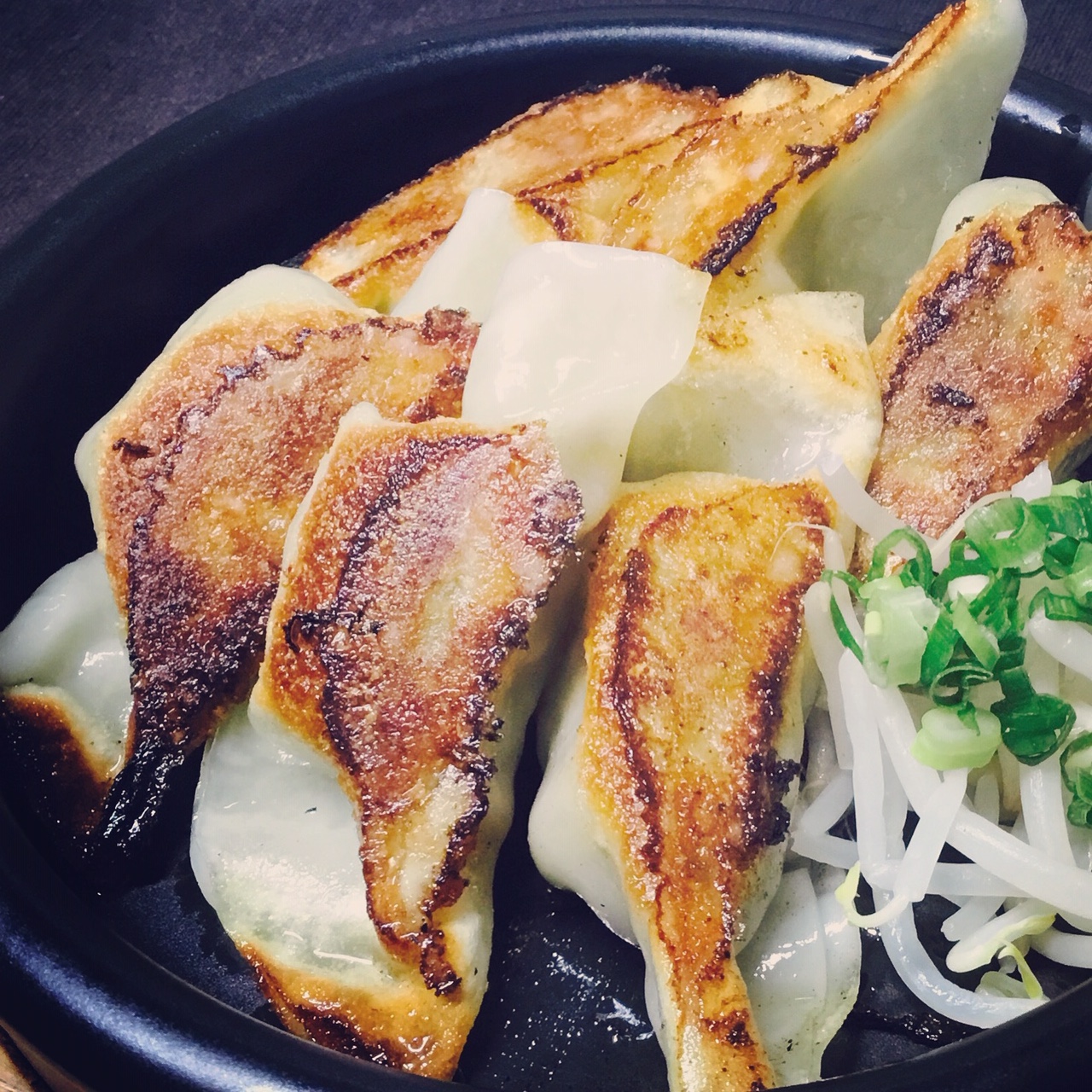 Fried Gyoza Dumplings (6 pieces)