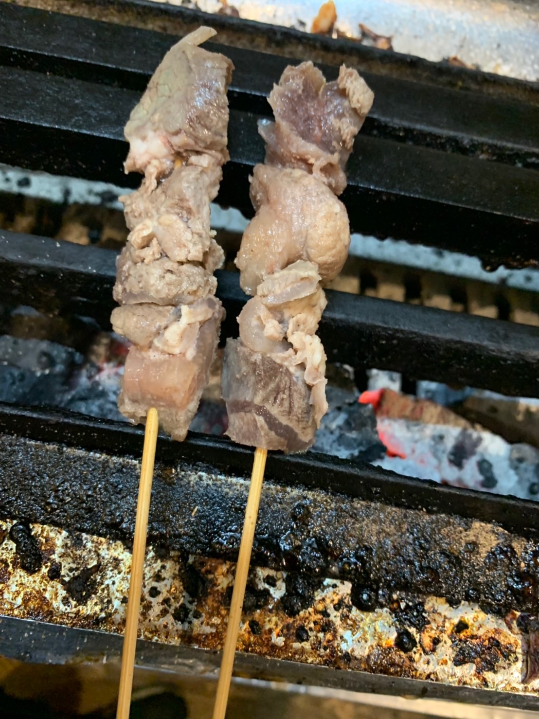 Beef Tendons