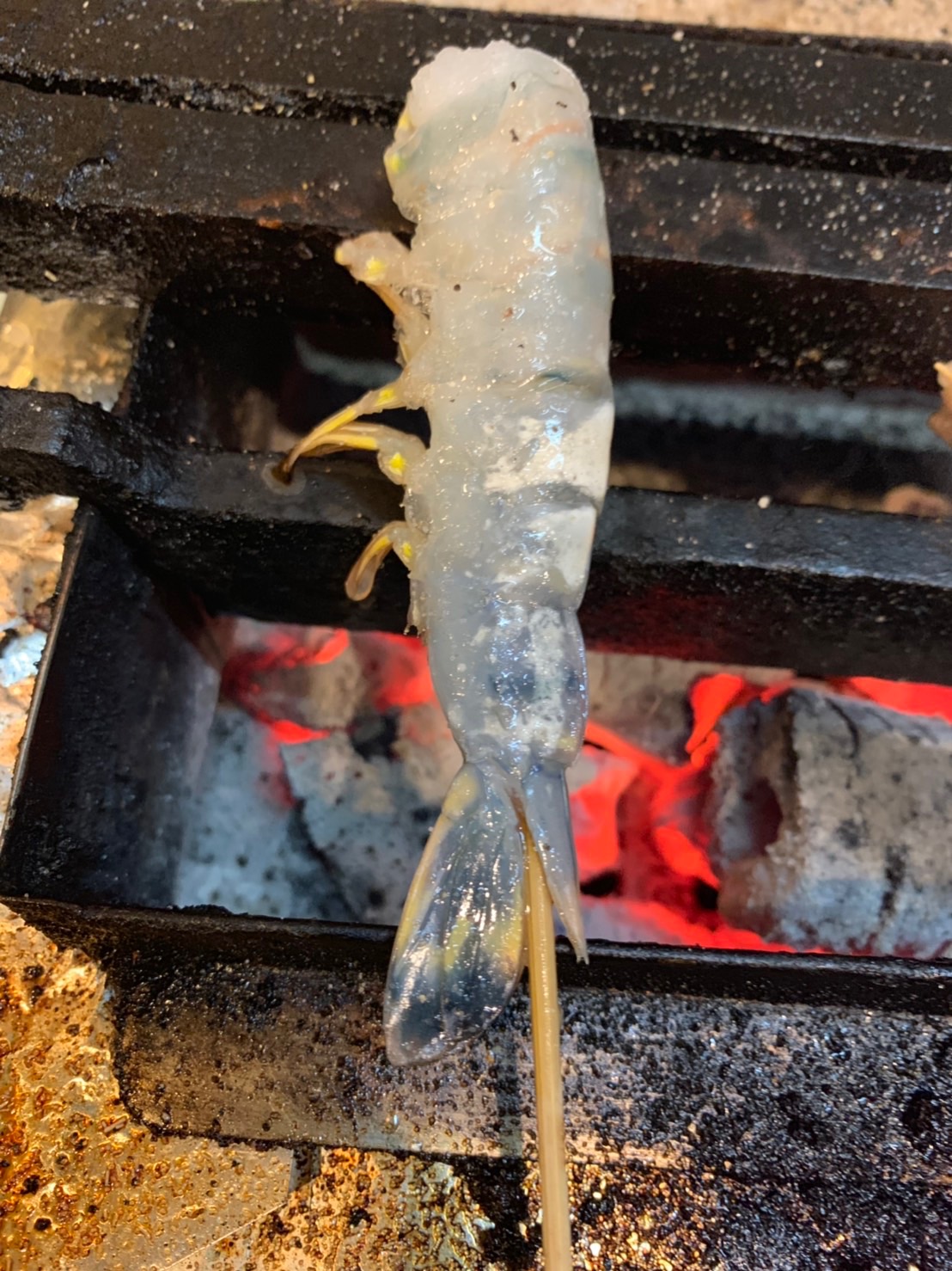 Shrimp