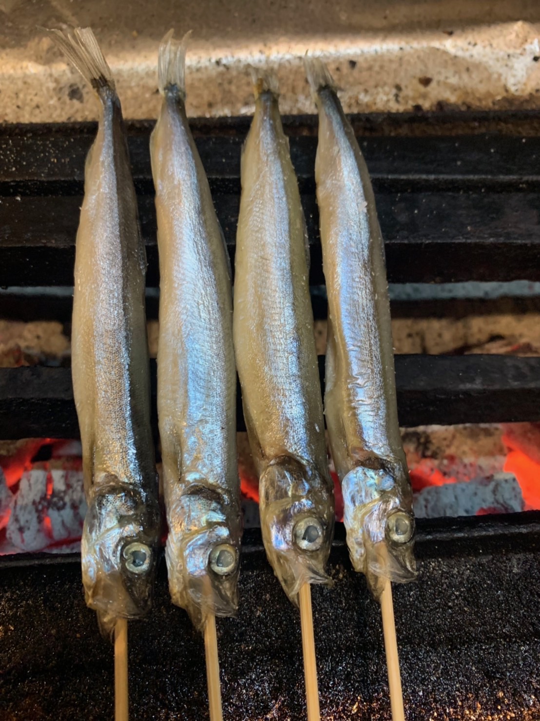 Shishamo Smelt
