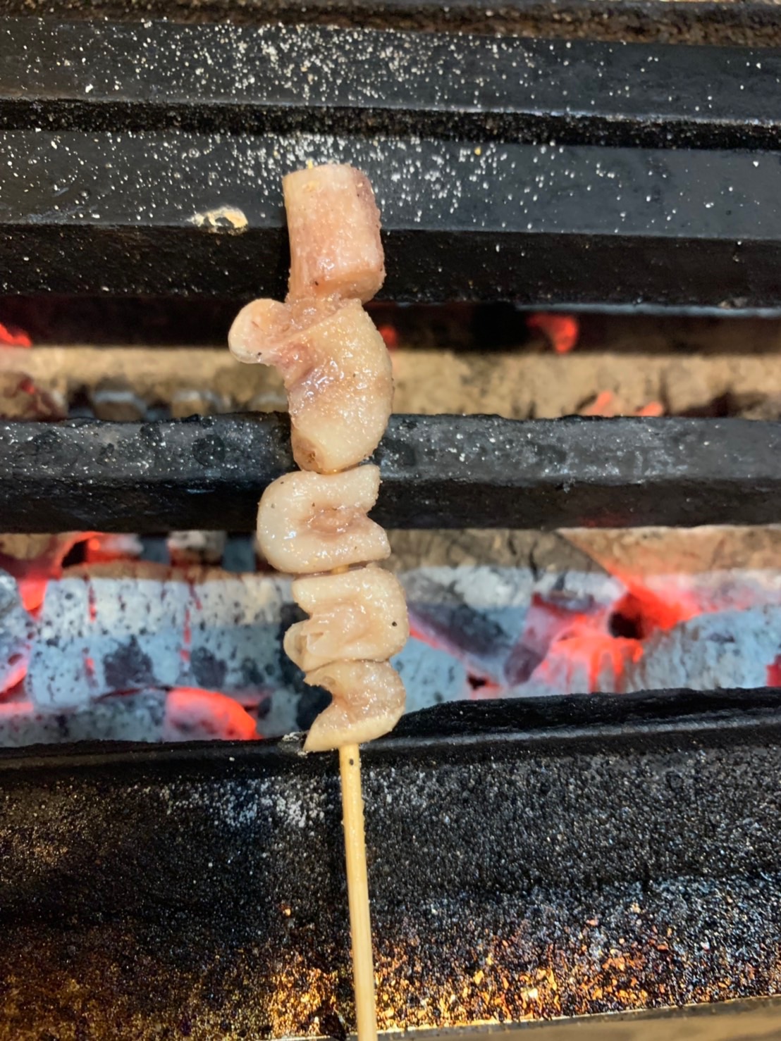 Pork Uterus 